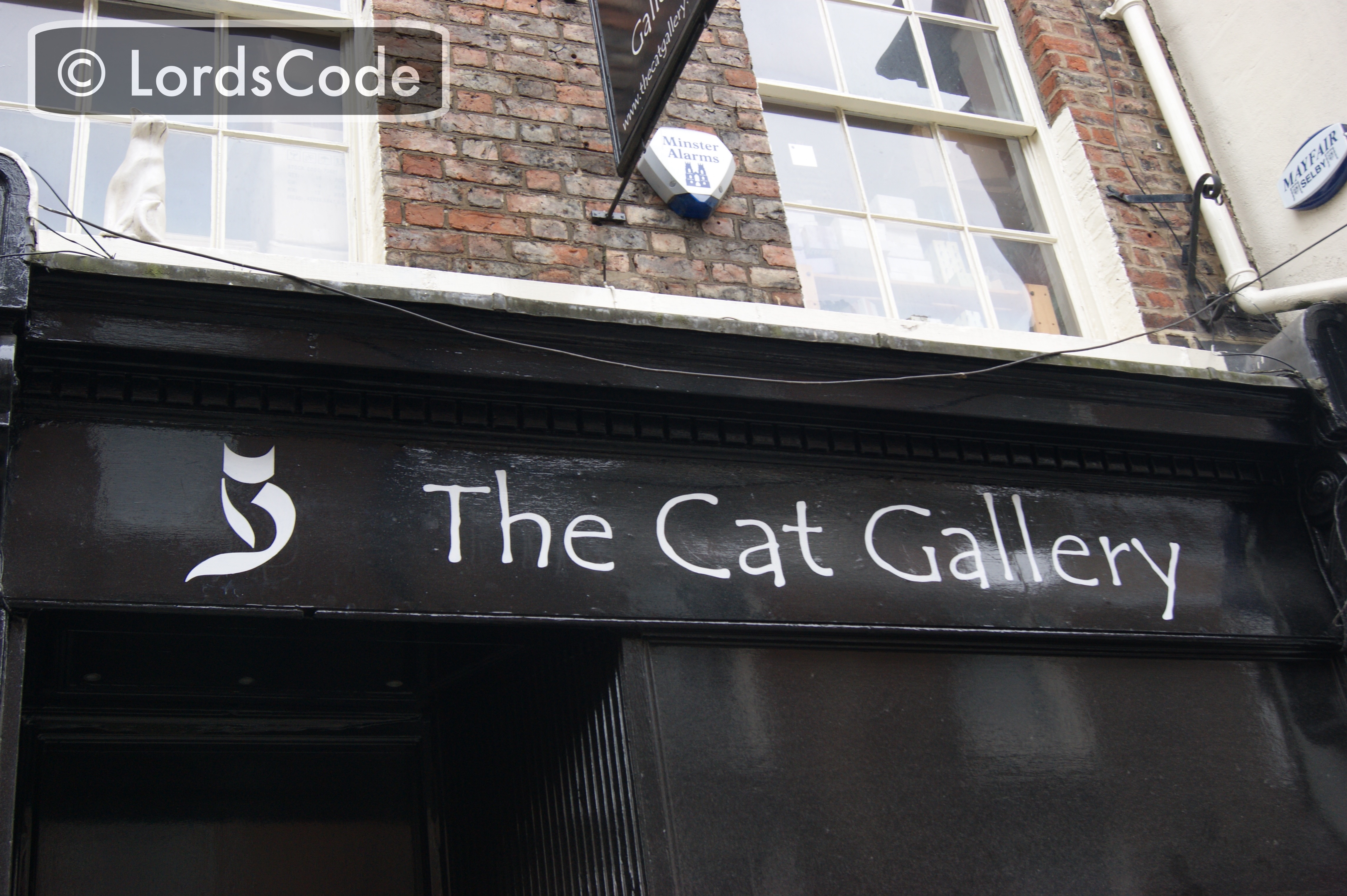 The Cat Gallery.jpeg